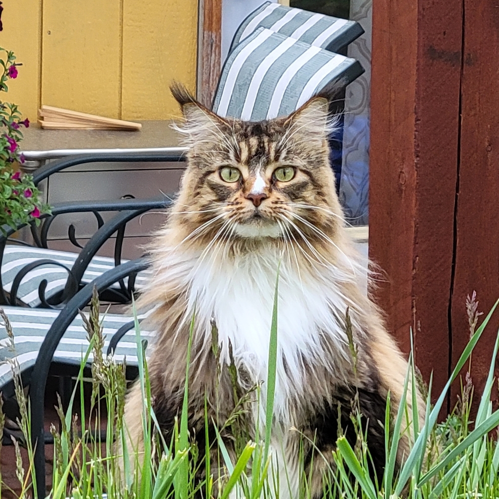 Bella is back and bigger than ever!